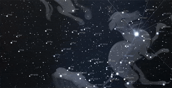 Acompañamiento Duelo Animal