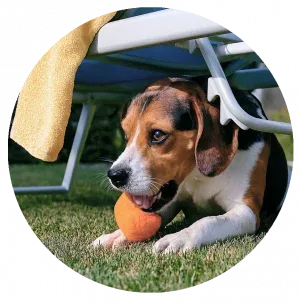 Elena Bueno (España)