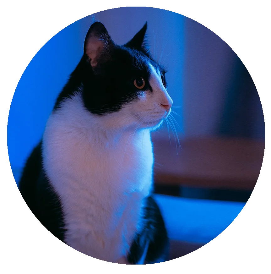 foto KOSKI testimonio circulo foto KOSKI testimonio circulo