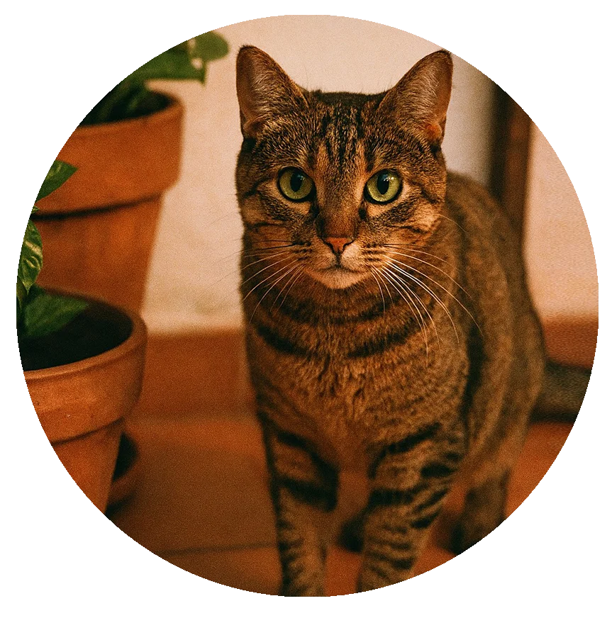 foto NALA testimonio circulo foto NALA testimonio circulo