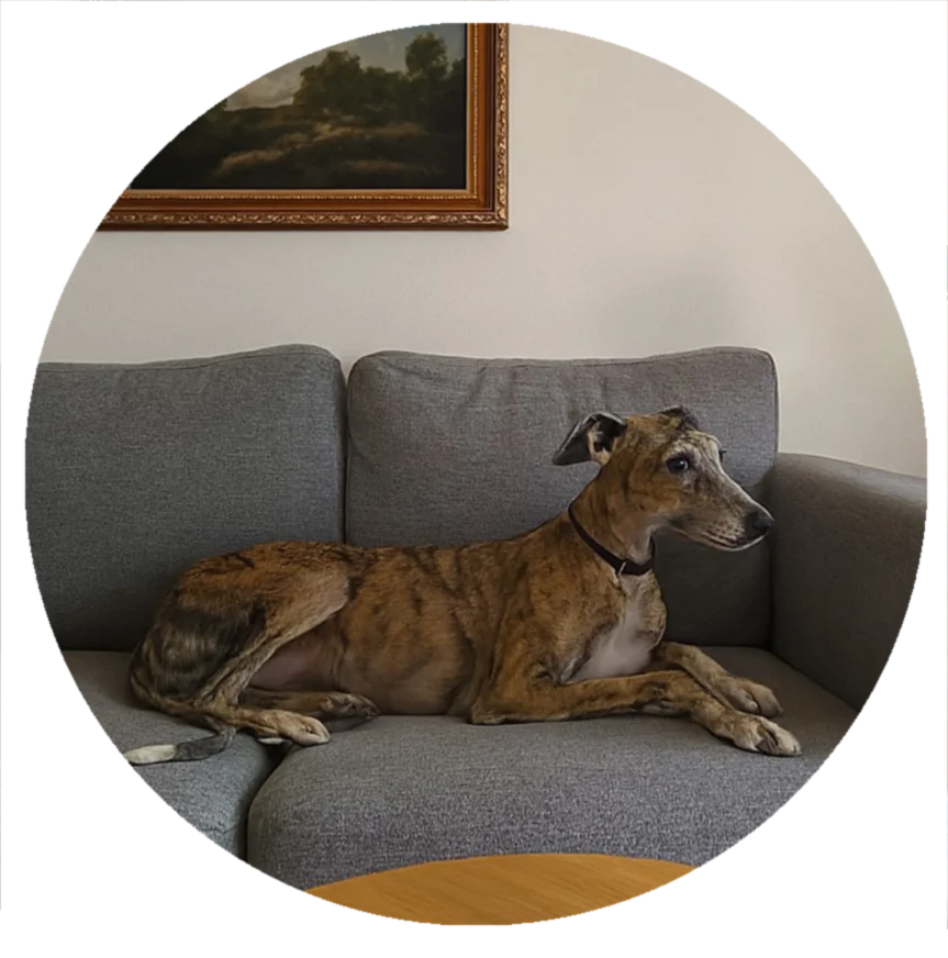 foto NIKA testimonio circulo foto NIKA testimonio circulo