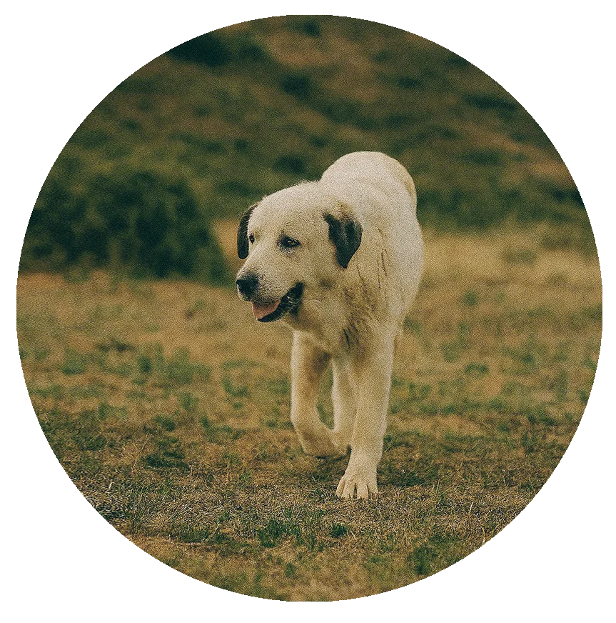 foto URKO testimonio circulo foto URKO testimonio circulo