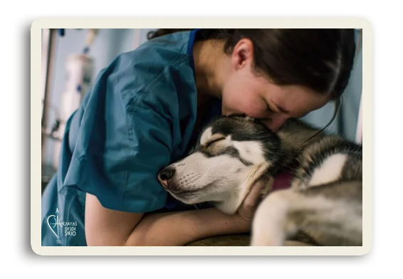 Culpa tras la Eutanasia de tu Peludín