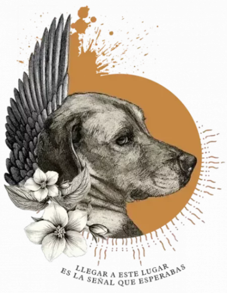 IMAGENES DORADOS WEB4