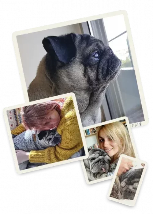 PUG 1